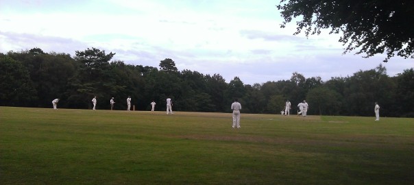 Adrian Burford at the Ashdown Forest Cricket Club